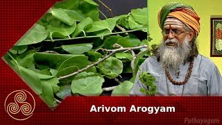 நடுக்குவாதத்தை குணப்படுத்தும் செவ்வியம்! | Arivom Arogyam | 23/08/2018