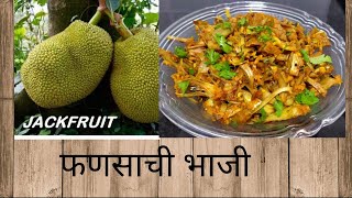 कोवळ्या फणसाची भाजी #RowJackfruitBhaji#फणसाचीभाजी#कोकण#JackfruitRecipe