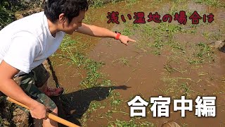 【ジュニア生物調査隊】怒涛の夏合宿～中編～