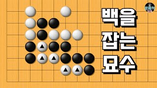 바둑 묘수 사활 - 1월 2째주 문제 모음