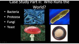 APES, Chapter 3, Lecture I