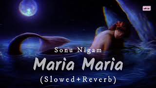 Maria Maria - Slowed and Reverb (Sonu Nigam) - Partner | Bollywood Song| #lofimusic