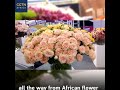 Africa’s floral business in full bloom at floriculture expo