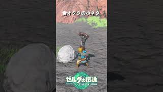 【ゼルダの伝説】ティアキンとブレワイの違い【比較】