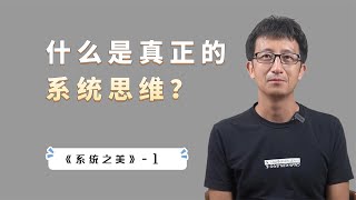 什么是真正的“系统思维”？一个系统三个层次：要素、连接、目标【小播读书】