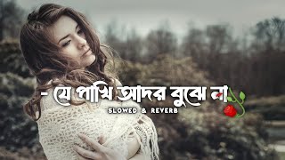 যে পাখি আদর বুঝে না | Je Pakhi Ador Bujhe na | MK Joy | TikTok Viral Song