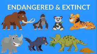 Endangered and Extinct Animals | Video for Kids | Rare Extinct Animals Video