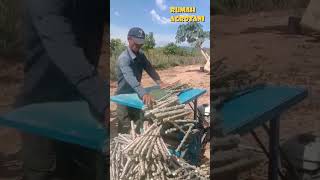 Cutting tools cassava seeds #agricultural technology #cassava