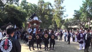 平成２４年度　錦織神社祭礼　本宮　宮入　宮甲田