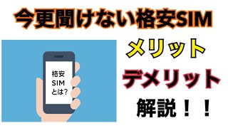 【格安SIM】今更聞けない格安SIMのメリットデメリットを解説