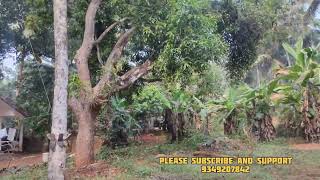 14 cent plot for sale at Kozhikode chelannur puthiyedathuthayam