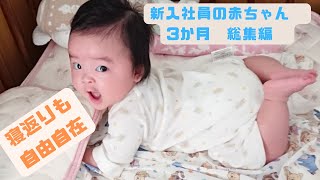 新入社員の赤ちゃん　生後3か月　総集編#baby#babyshorts #赤ちゃん #乳児#ベイビー#赤ちゃんのいる生活