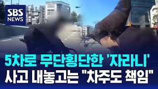 5차로 무단횡단 하다 '쾅'…사고 내놓곤 \