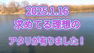 2025.1.16良いアタリが有りました！宇治川ブラックバス釣り！