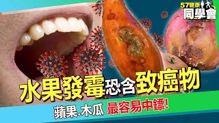 削掉爛掉的地方照樣吃？！ 發霉水果「恐含強烈致癌物」蘋果、木瓜最容易中鏢！【57健康同學會】 #張振榕 醫師 @57healthy