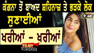 Filmywood | The Tv Nri Report | Bollywood News | Punjabi Singer News