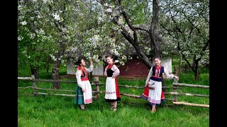 Гурт Королівна - Ой ти Єване (купальська), Та червона (лірична), Ой на горі жовта бляха (весела)