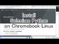 Install Selenium Python on Chromebook Linux