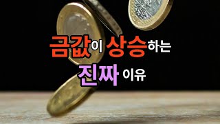 금값이 상승하는 진짜 이유