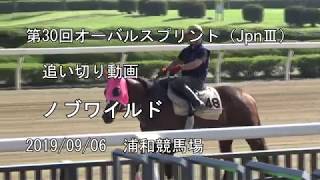 第30回テレ玉杯オーバルスプリント（JpnⅢ）　追い切り動画　ノブワイルド、ブルドッグボス　2019/09/06　浦和競馬場