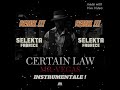 Mr Vegas - Certain Law Remix Ragga Vrs Instrumentale // SELEKTA FABRICE 🥵🥳