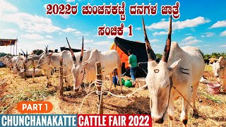 2022 Chunchanakatte Cattle Fair Most Famous Cattle Fair in South India \u0026 Largest Fair in Karnataka