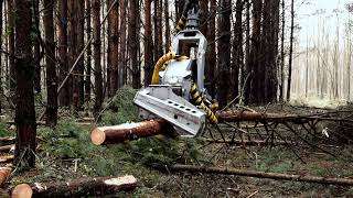 Pine forest thinning with machine - Takeuchi TB290 + Kesla 20SH-II, Novotny LVS-520 [6x6 Trans Kft.]