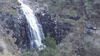 Sheoak Falls, Great Otway National Park in Australia