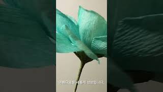 #paperflower #handmade #channel 동백꽃 만들기 샤넬 CF 버전