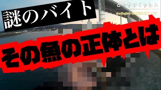 【ロックフィッシュ】謎バイト多発！そしてようやくその魚の正体が判明！【北海道】