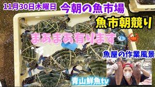 【まあまあ有ります】【魚市朝競り】【仕入れ】【魚の調理】今朝の魚市場11月30日木曜日の水揚げ状況