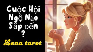 Tarot | Chọn 1 tụ bài | Cuộc hội ngộ nào sắp đến với bạn? | Lena Tarot Chính Thức