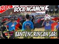 KALAPAN SENIOR MBEROT BANTENGAN ‼️ BANTENG RINGAN SARI LIVE PAGEDANGAN KEC TUREN