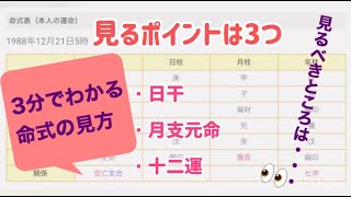 3分でわかる四柱推命の命式の見方