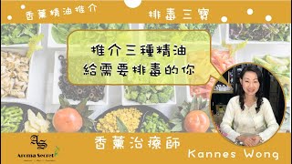 【如何使用精油】排毒篇｜3種香薰精油推介｜飽飽濟濟助消化精油｜精油用法 ｜ 必看｜香薰治療師．Aroma Secret by Kannes