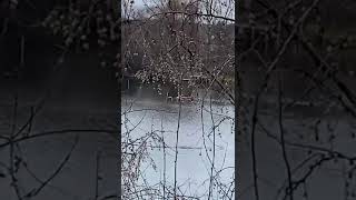 Браконьеры Ирпеня на водоеме СМУ