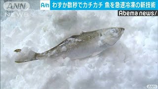 新たな急速冷凍技術で鮮度もコストも(19/12/07)