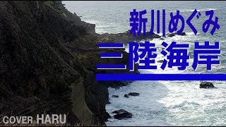 「三陸海岸」新川めぐみ　cover HARU