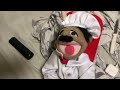 unboxing my chef puppet