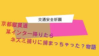 京都縦貫自動車道　亀岡●●インター出たらネズミ捕りに捕まった! (必見、ドラレコ決定的動画)