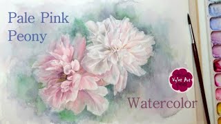 Watercolor Pale Pink Peonies, How to paint Peony Step by step Demo, 水彩牡丹花