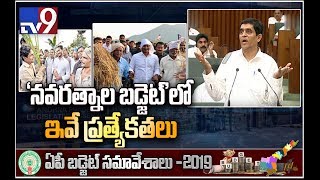 YCP government allocates budget for ‘Navaratnalu’ schemes - TV9