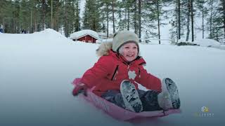 Voyage de Rêve pour les Fêtes de Fin d’Année - Laponie et Destinations Féeriques