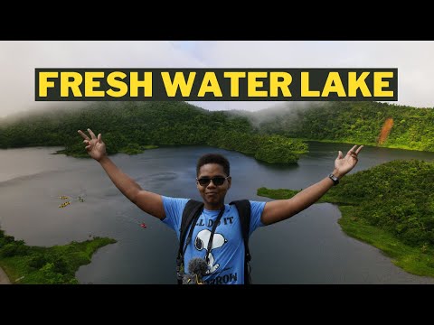 How much water is in Dominica?