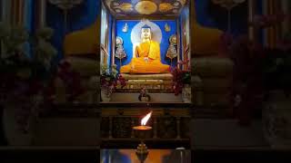 ཨེ་མ་ཧོ་ངོ་མཚར་སངས་རྒྱས།