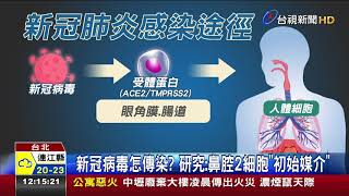 新冠病毒怎傳染?研究:鼻腔2細胞初始媒介