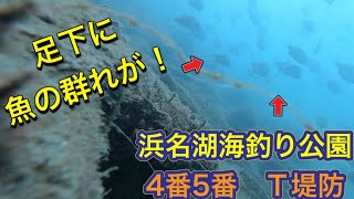 【水中映像】goproぶん投げてみたら…浜名湖新居弁天海釣り公園（４番５番Ｔ字堤）【砂の穴の正体も判明】