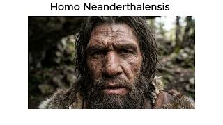 Every Extinct Human Species Explained