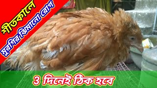 মুরগির ঠান্ডা রোগের চিকিৎসা | মুরগির ঝিমানো রোগের ঔষধ | murgir roger chikitsa | দেশি মুরগির রোগ