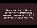 NodeJS : Call Node script with PHP exec and return data to PHP before finally method